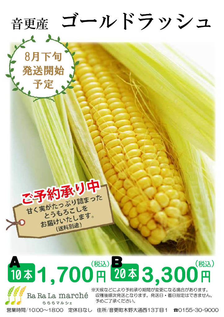 とうもろこし　ひろし2025